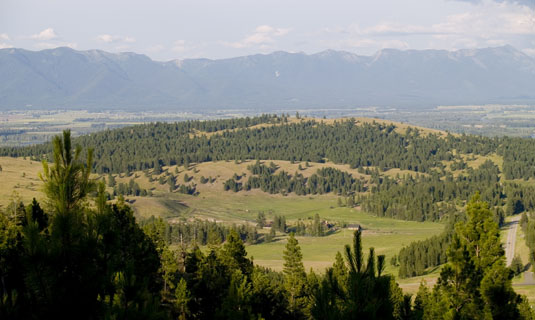 Spring Brook Ranch view